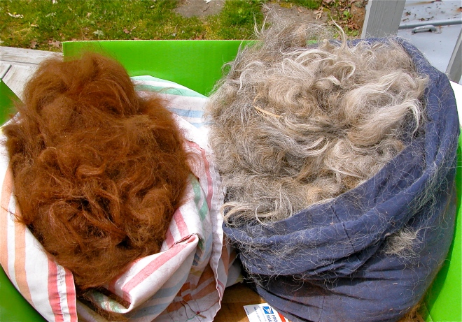 Coco's Red-Brown and Debbie's Grey Fleece